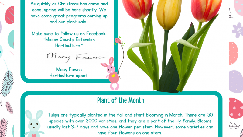 March & April Newsletter Page